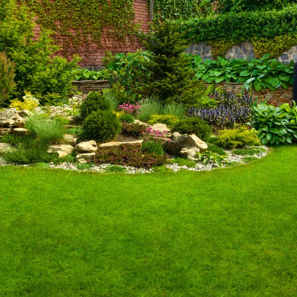 Garden stone path with grass growing up between the stones.Detail of a botanical garden.